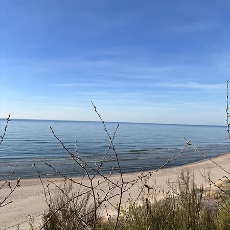 W Poddabiu Blisko Plazy I Lasu