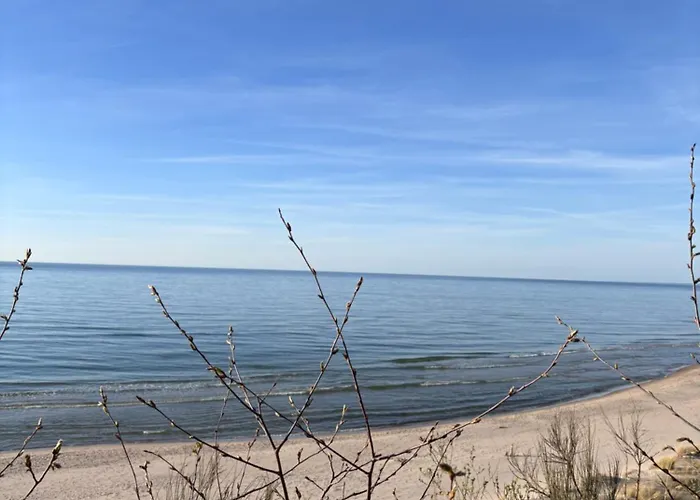 W Poddabiu Blisko Plazy I Lasu