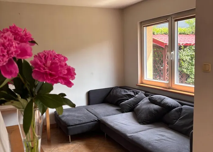 W Poddabiu Blisko Plazy I Lasu